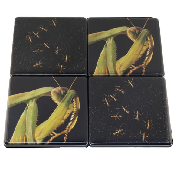 "Aliens" Photo Coaster Set (4) - Image 2